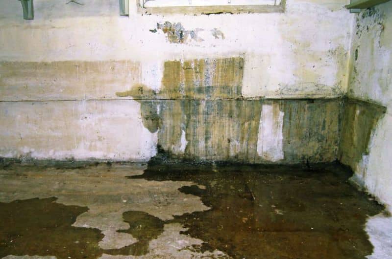 antes solucion humedades filtracion sevilla